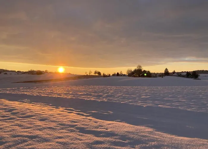 Lejlighed Eichberger *